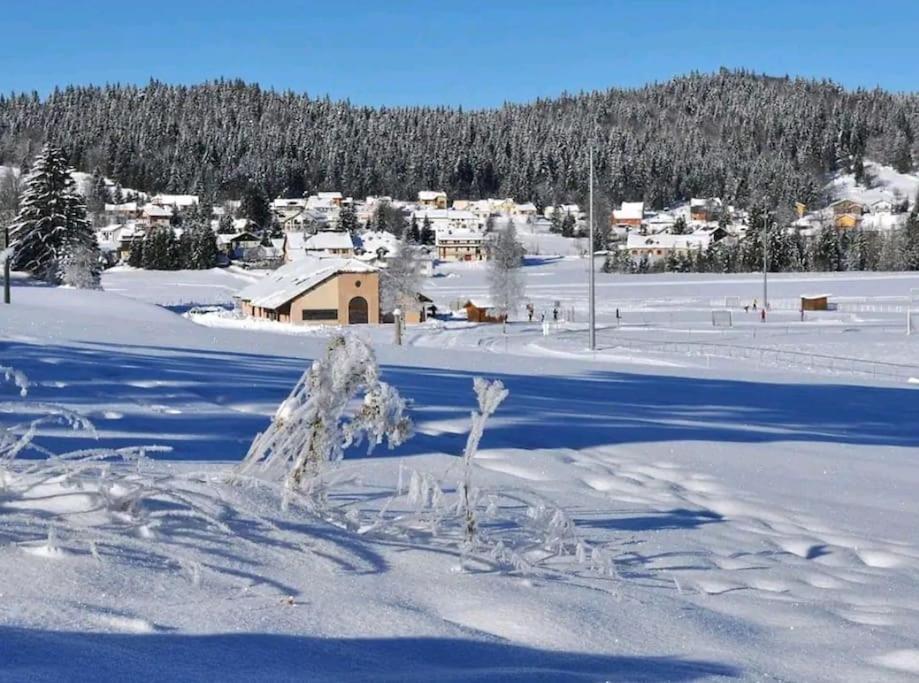 T2 Bis A * Morbier
